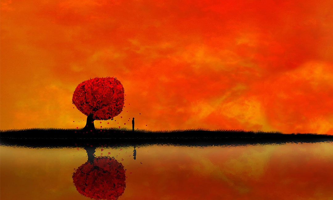 江苏笙影微信朋友圈转发案例